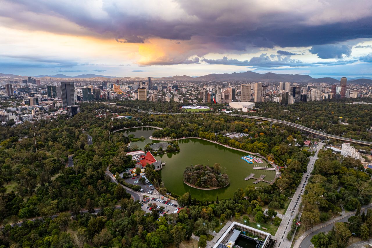 Getting to Know Polanco: The Art of Losing Yourself in Mexico City’s Most Intriguing Neighborhood